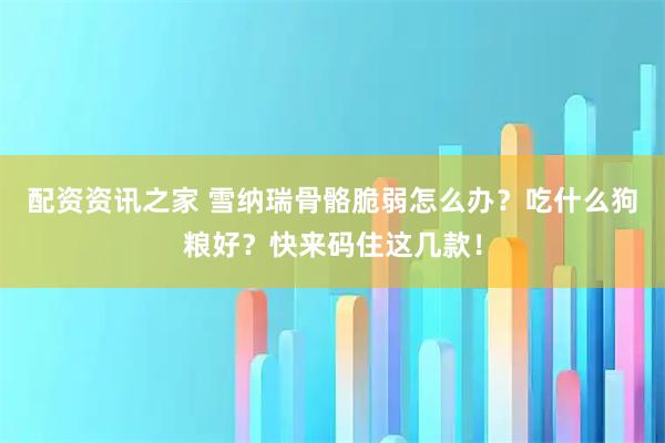 配资资讯之家 雪纳瑞骨骼脆弱怎么办？吃什么狗粮好？快来码住这几款！