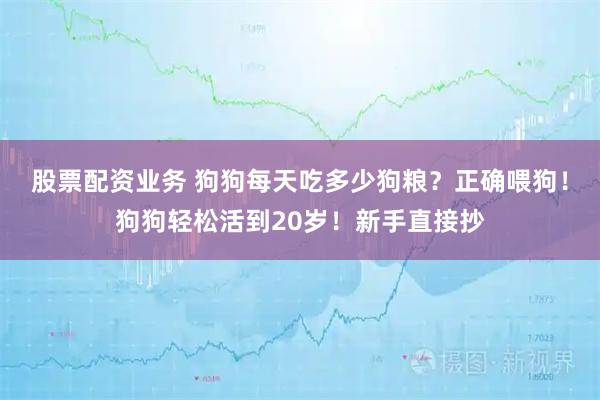 股票配资业务 狗狗每天吃多少狗粮？正确喂狗！狗狗轻松活到20岁！新手直接抄