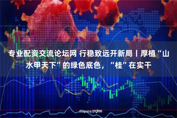 专业配资交流论坛网 行稳致远开新局丨厚植“山水甲天下”的绿色底色，“桂”在实干