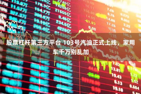 股票杠杆第三方平台 103号汽油正式上线，家用车千万别乱加